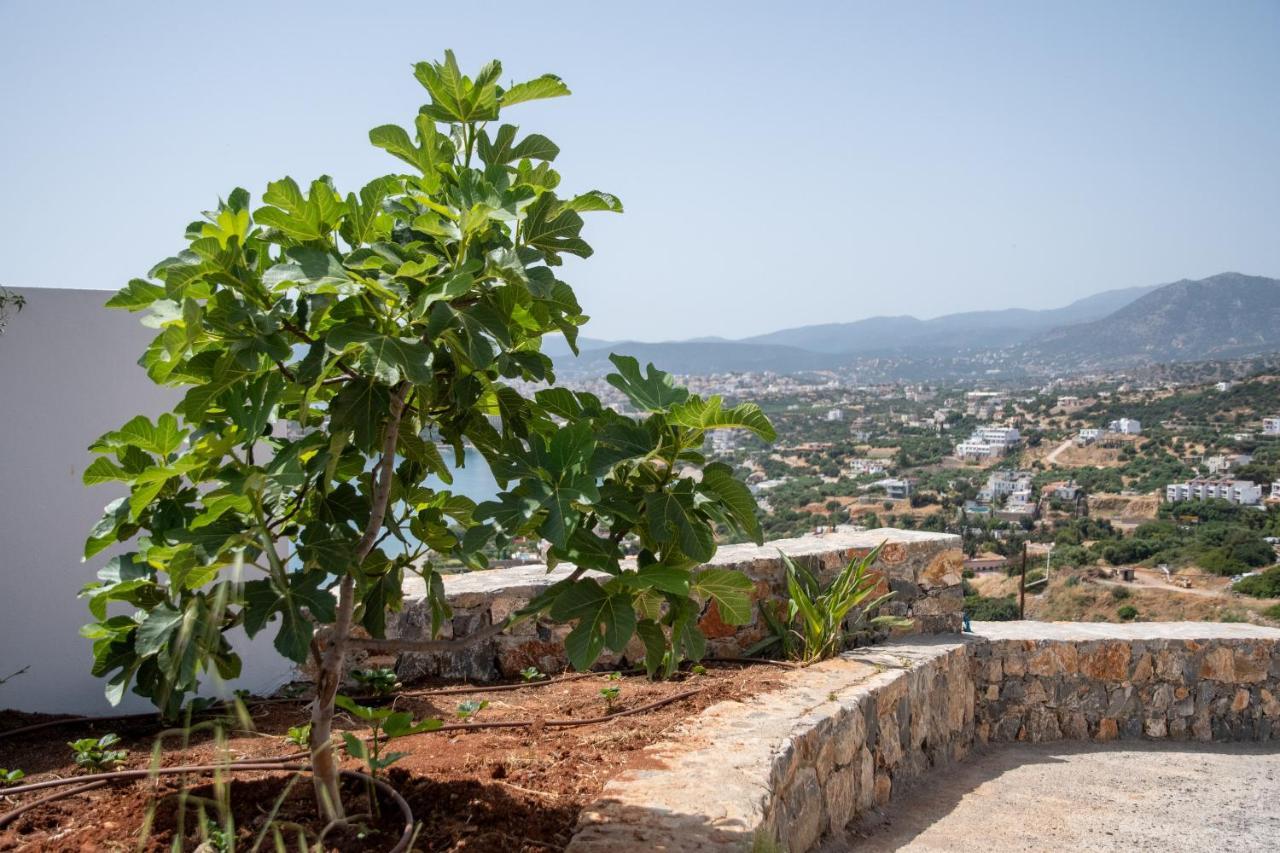 Miracle View Villas Ágios Nikolaos Exterior foto